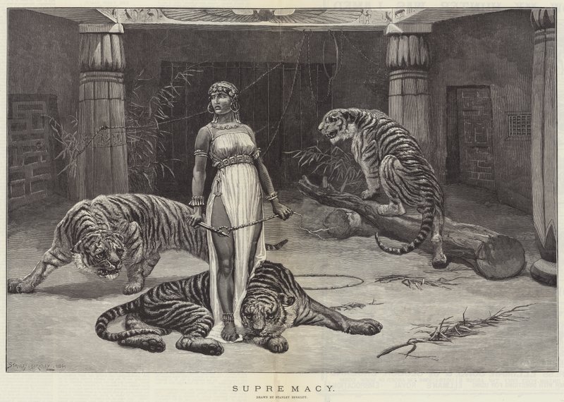 Suprématie - Stanley Berkeley