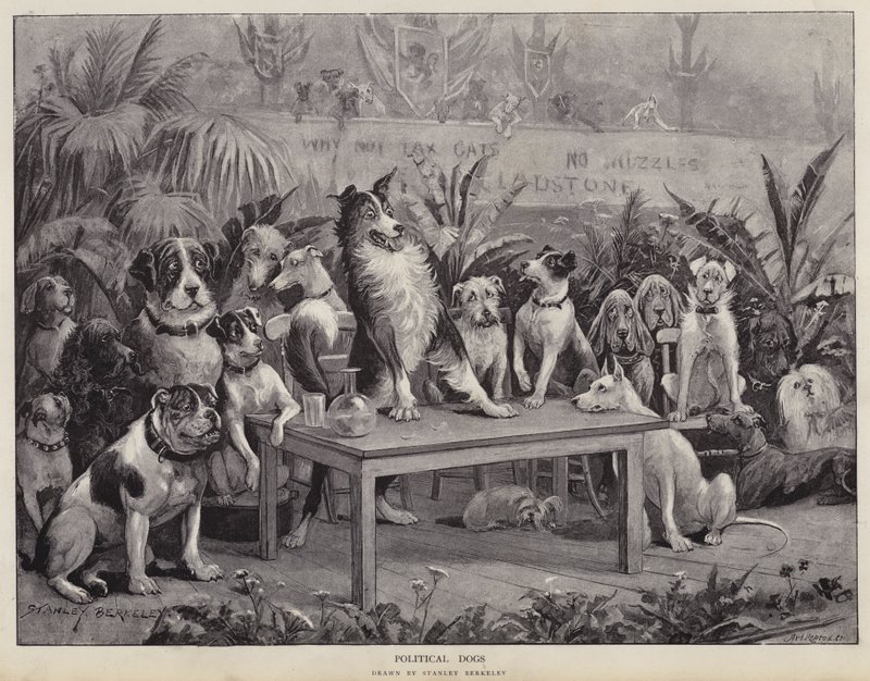 Chiens politiques - Stanley (after) Berkeley