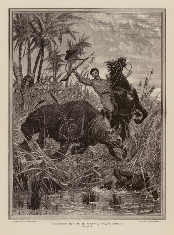 Chasse au rhinocéros en Afrique - Stanley (after) Berkeley