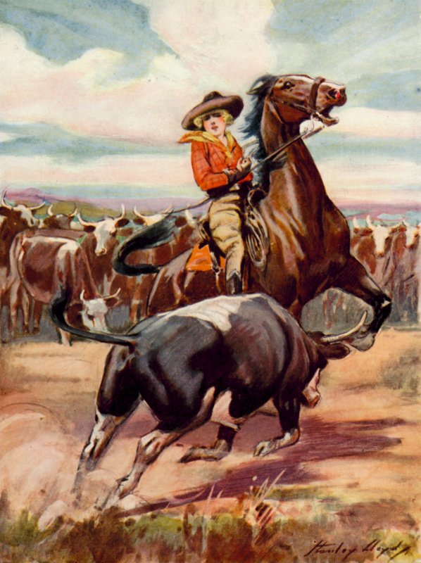 Scène tirée de À la merci des brigands : une cow-girl à cheval chargée par un gros bœuf (lithographie couleur) - Stanley Lloyd
