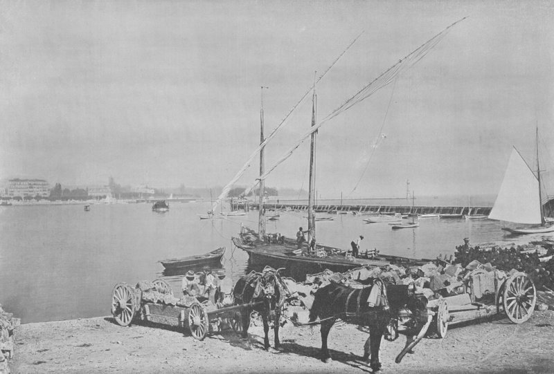 Genève, Le Port - Swiss Photographer