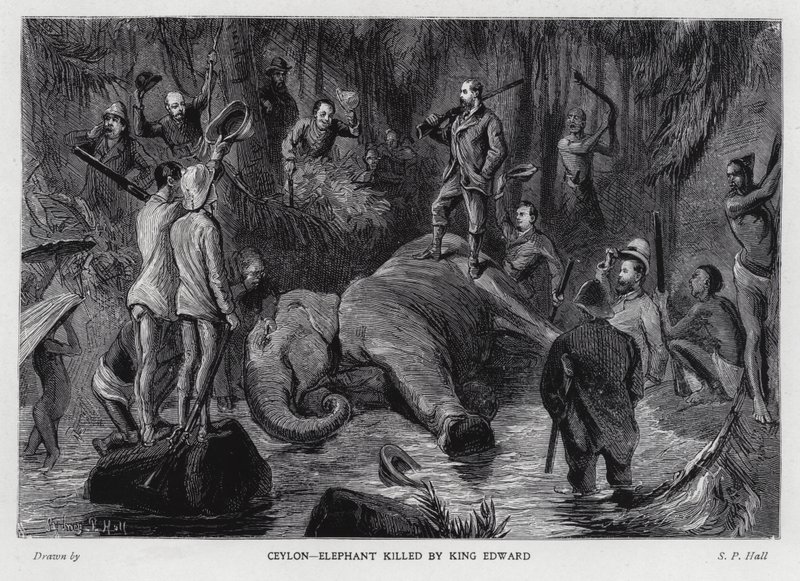 Éléphant tué par le roi Édouard VII - Sydney Prior (after) Hall