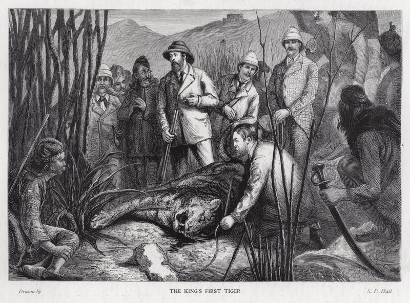 Le roi Édouard VII avec le tigre qu