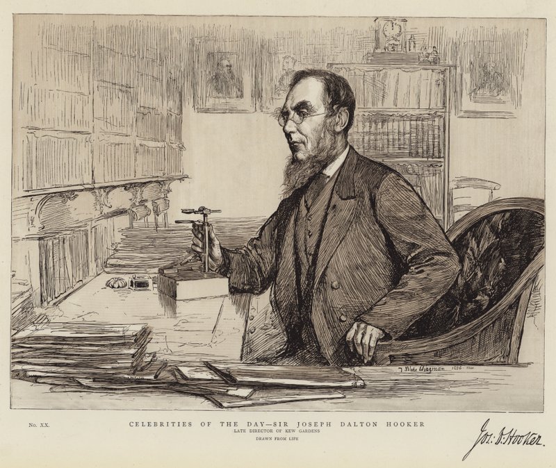 Célébrités du jour, Sir Joseph Dalton Hooker - Theodore Blake Wirgman