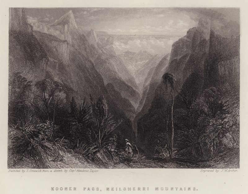 Col de Kooner, montagnes de Neilgherri - Thomas Creswick