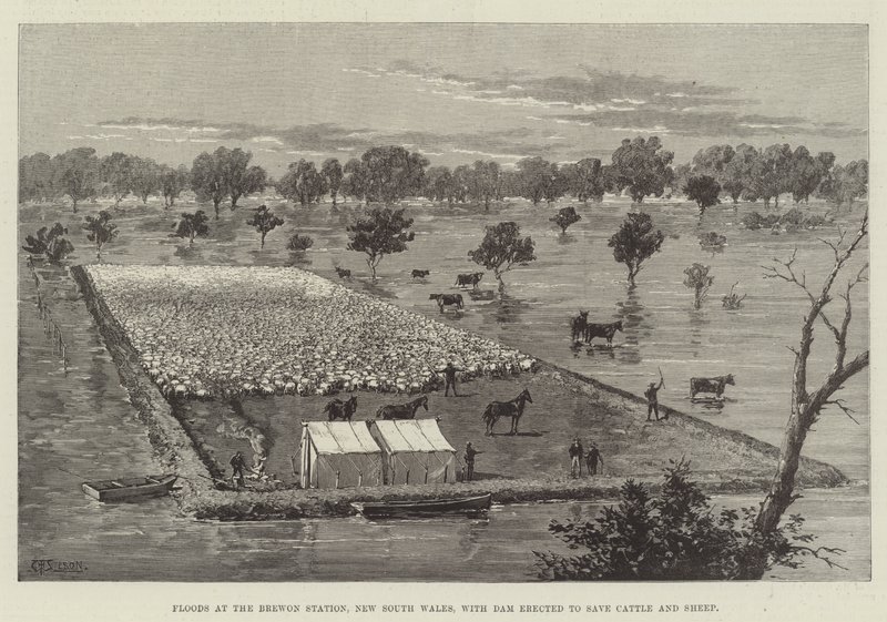 Inondations à la station Brewon, Nouvelle-Galles du Sud, avec barrage érigé pour sauver le bétail et les moutons - Thomas Harrington Wilson