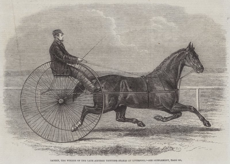 Jackey, le gagnant des dernières Aintree Trotting Stakes à Liverpool - Thomas Harrington Wilson