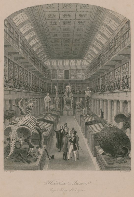 Musée Hunterian, Collège royal des chirurgiens, Londres - Thomas Hosmer Shepherd