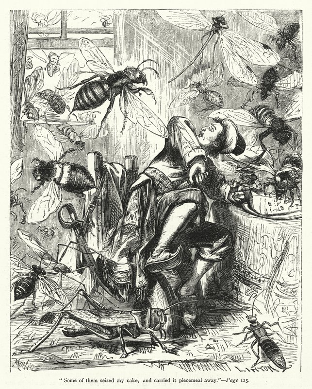 Illustration des Voyages de Gulliver par Jonathan Swift (gravure) - Thomas Morten