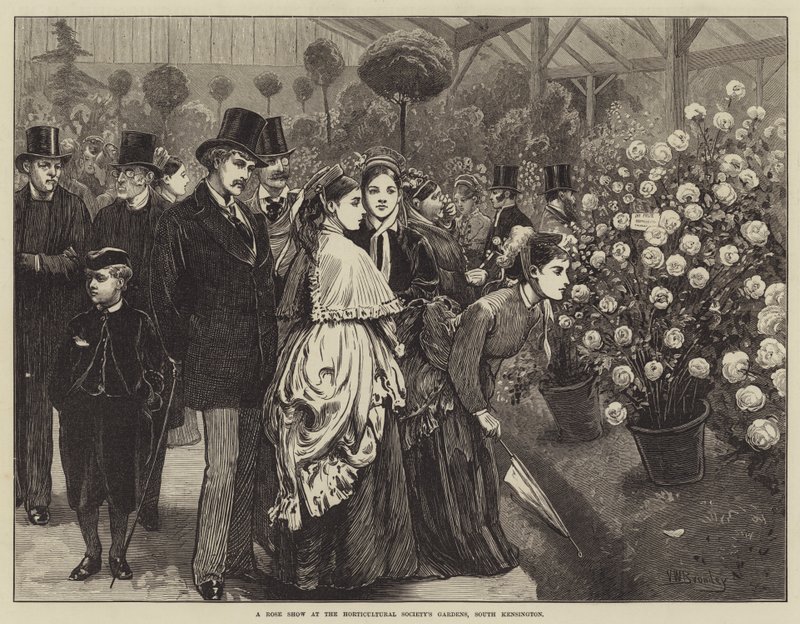 Exposition de roses aux jardins de la Société horticole, South Kensington - Valentine Walter Lewis Bromley