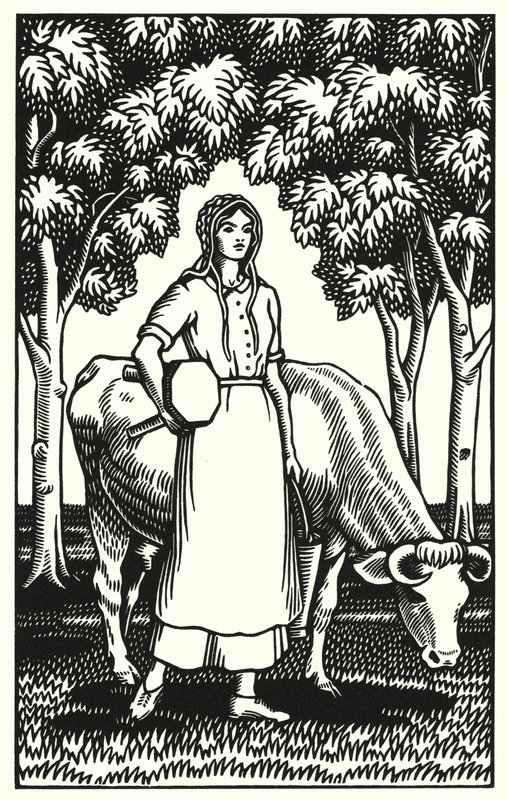 Illustration pour Tess d