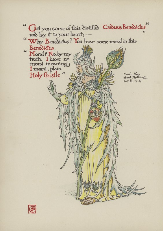 Fleurs du jardin de Shakespeare - Walter Crane