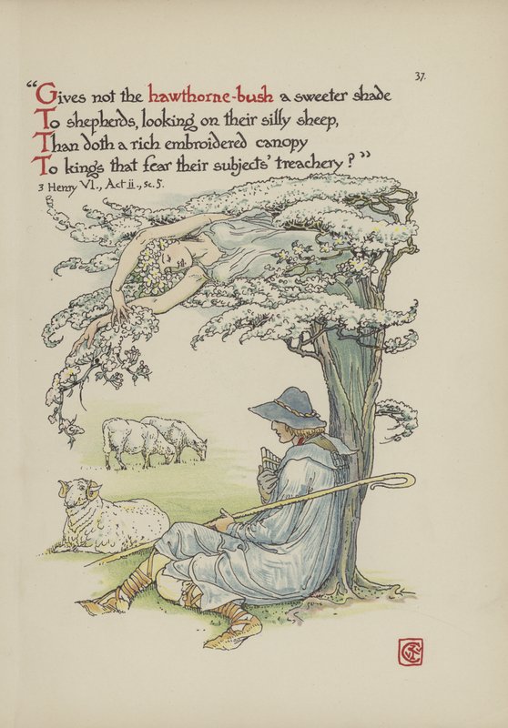 Fleurs du jardin de Shakespeare - Walter Crane