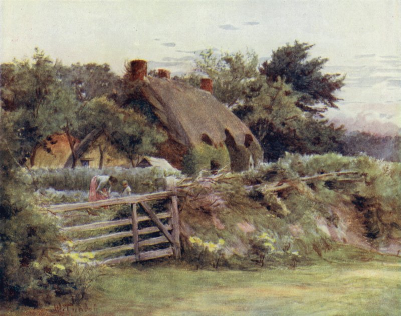 La Nouvelle Forêt : Cottage près de Brokenhurst - Walter Frederick Roofe Tyndale