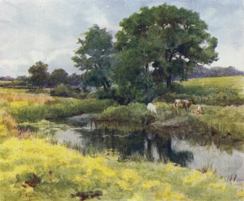 La Nouvelle Forêt : Sur la rivière Lymington - Walter Frederick Roofe Tyndale