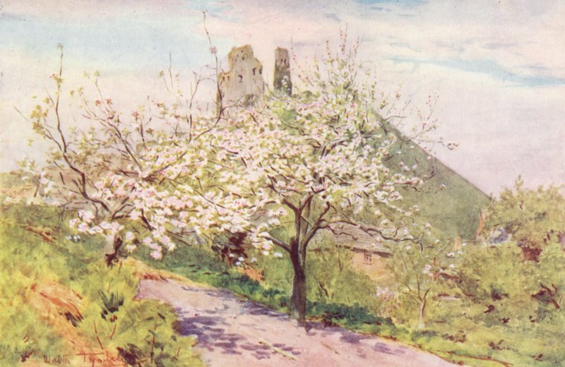 Wessex : Printemps à Wessex - Walter Frederick Roofe Tyndale