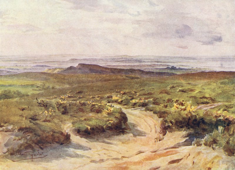 Wessex : Studland Heath, port de Poole au loin - Walter Frederick Roofe Tyndale
