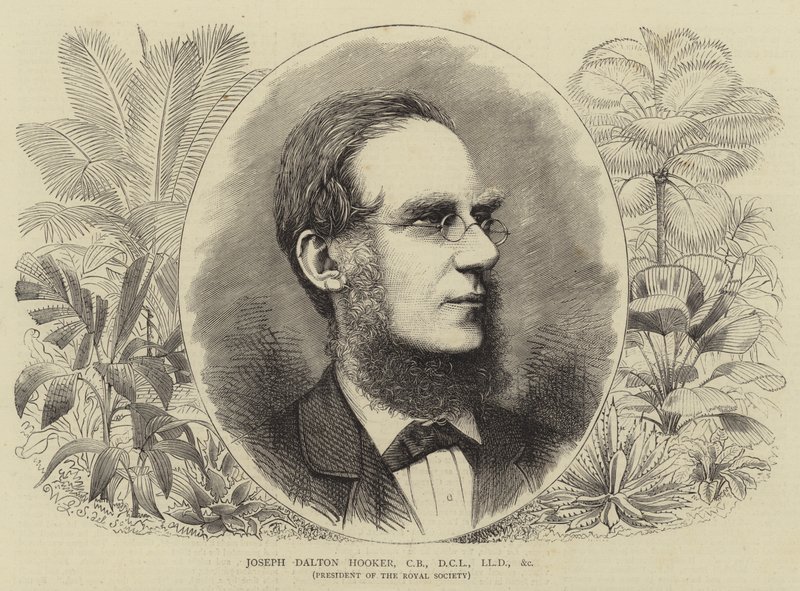Joseph Dalton Hooker, CB, DCL, LLD, etc. - Walter Granville Smith