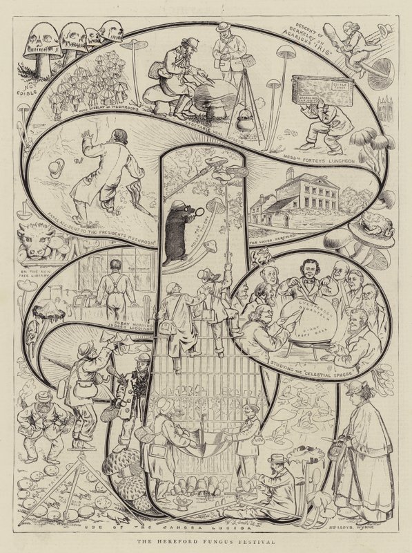 Le festival des champignons de Hereford - Walter Granville Smith