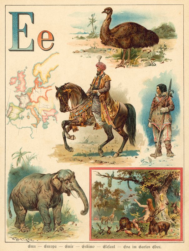 Lettre E (chromolithographie) - Walter Zweigle