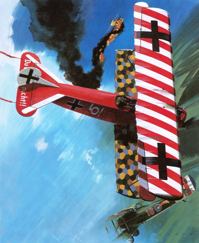 Fokker D VII - Wilf (20th century) Hardy