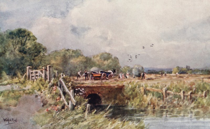 Fenaison - Wilfrid Williams Ball