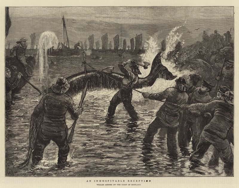 Une réception inhospitalière - William Bazett Murray