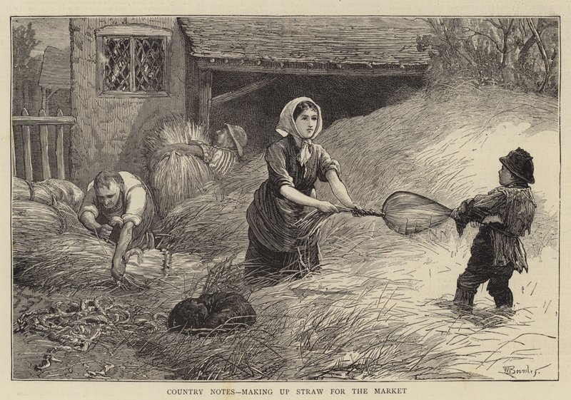 Notes de campagne, préparation de la paille pour le marché - William III Bromley