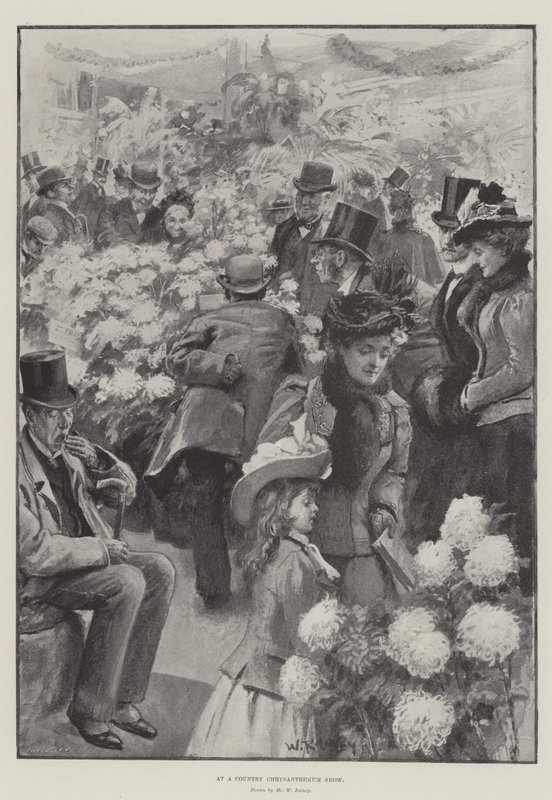 À une exposition de chrysanthèmes à la campagne - William Rainey
