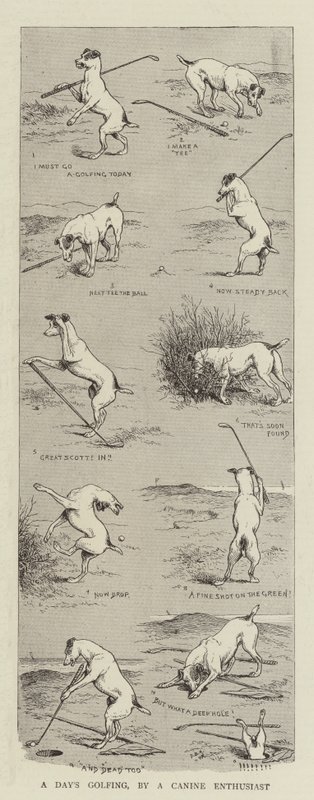 Une journée de golf, par un passionné canin - William Ralston