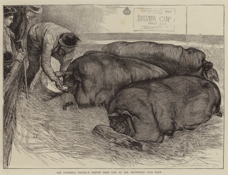 Une touche finale, un croquis de la vie au Smithfield Club Show - William Small