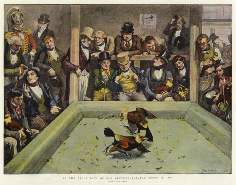 Au début de notre siècle, sport populaire en 1800 - William Small