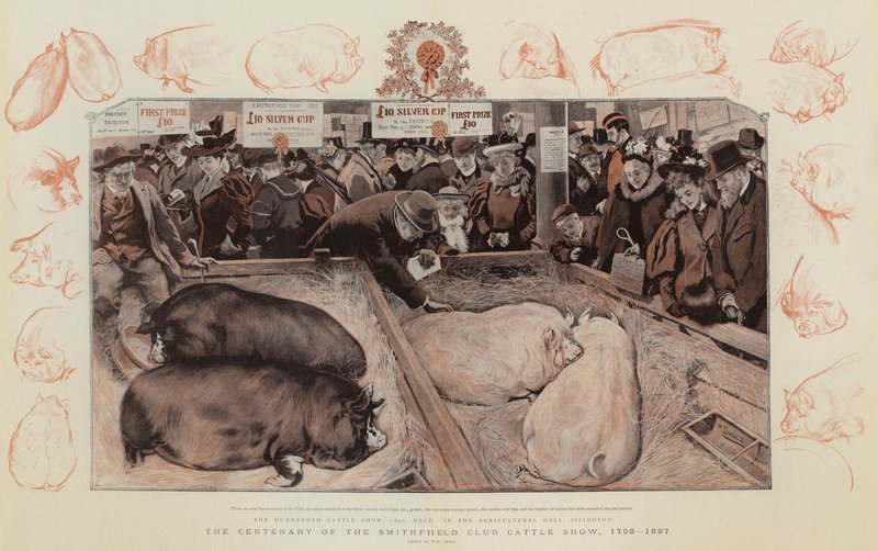 Le centenaire du Smithfield Club Cattle Show, 1798-1897 - William Small