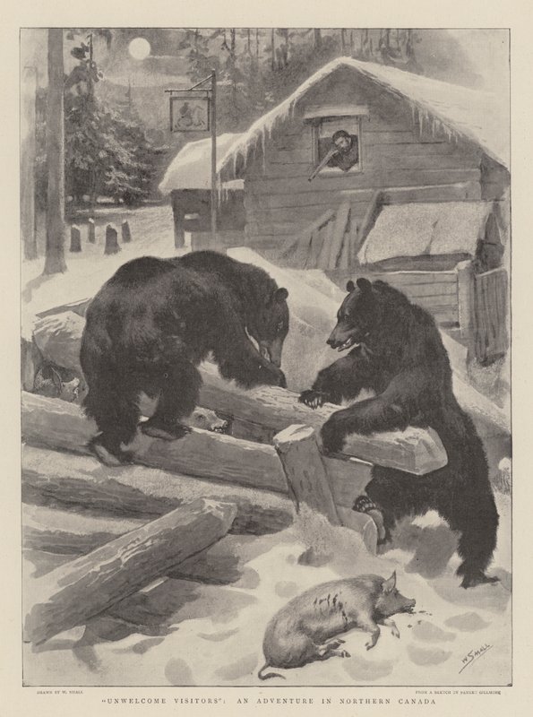 Visiteurs indésirables, une aventure dans le nord du Canada - William Small