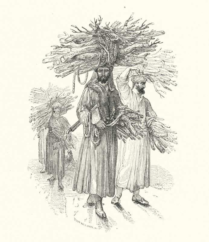 Deuxième prince en bûcheron - William (after) Harvey