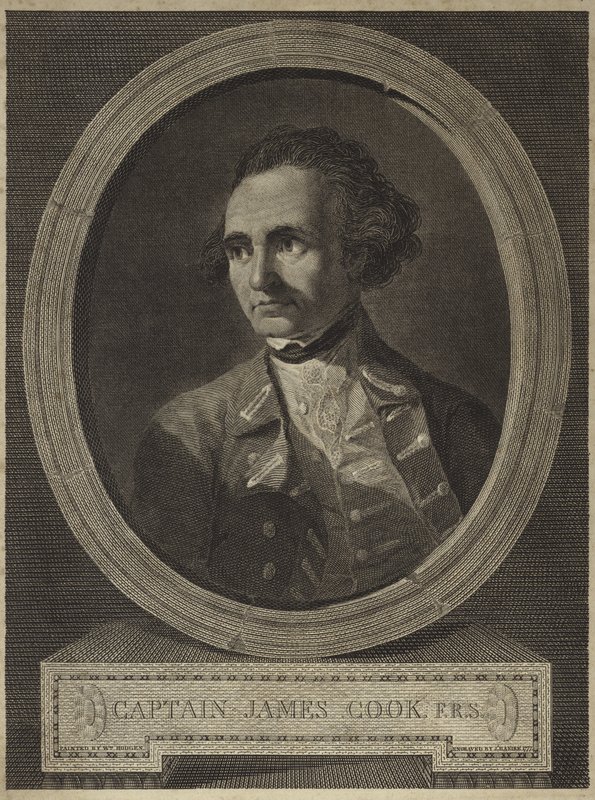 Portrait du capitaine James Cook (gravure) - William (after) Hodges