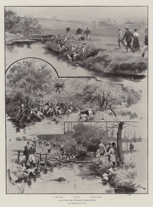Une journée avec les chiens de loutre de Culmstock - William Barnes Wollen