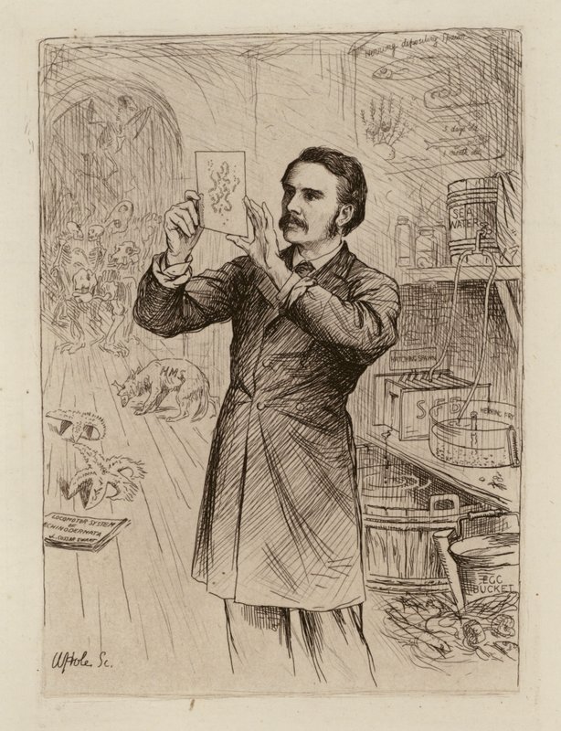 James Cossar Ewart, professeur d