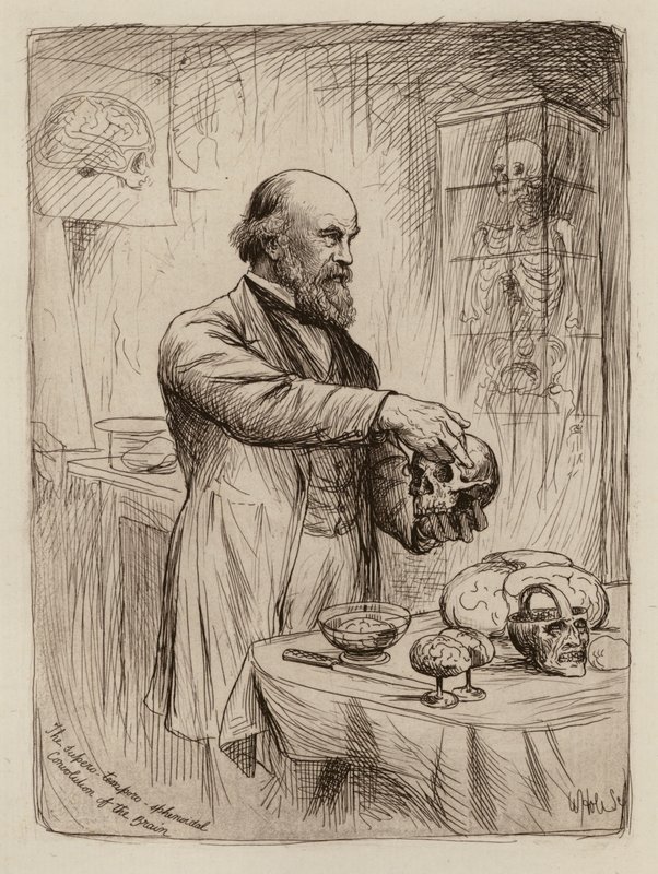 William Turner, professeur d
