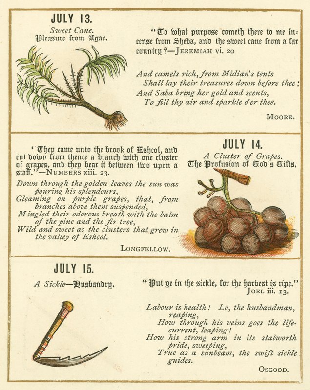 Page du livre anniversaire de l