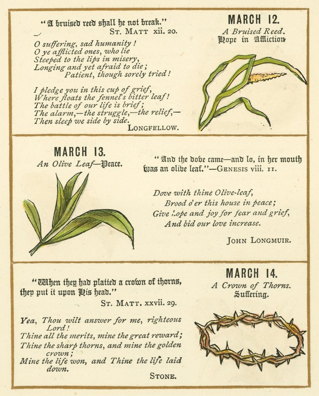 Page du livre d