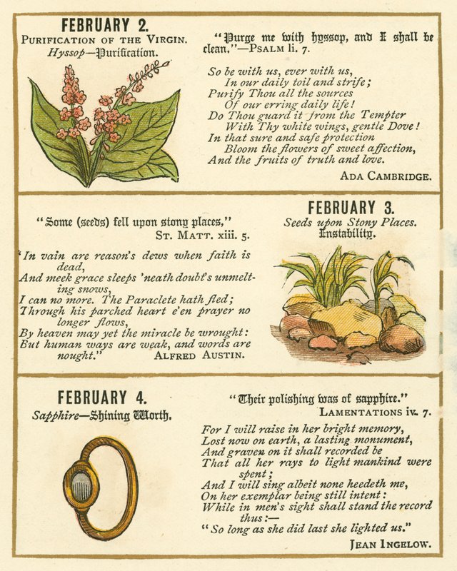 Page du livre d