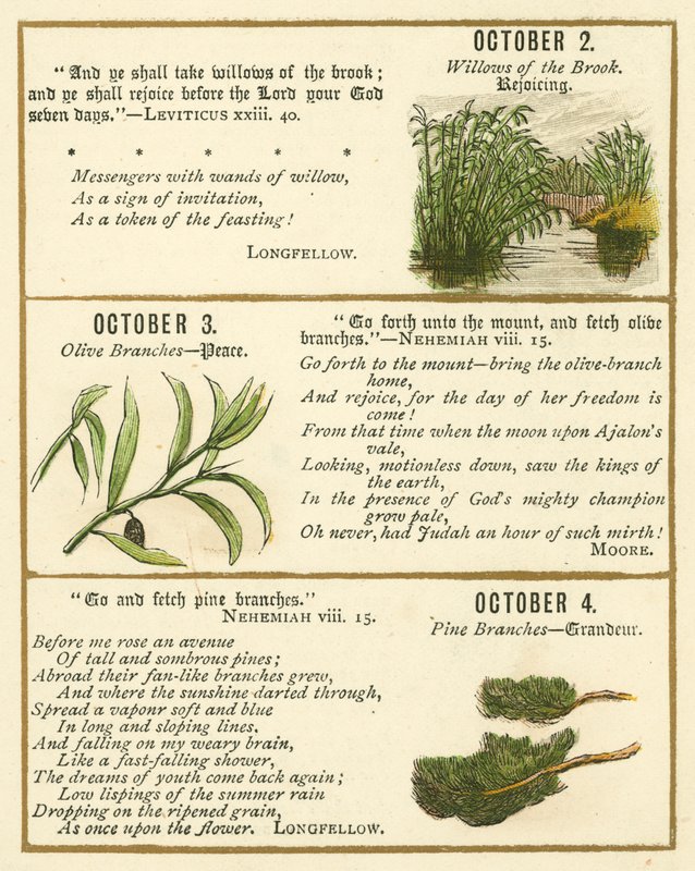 Page du Livre Anniversaire de la Bible Emblème - William Foster