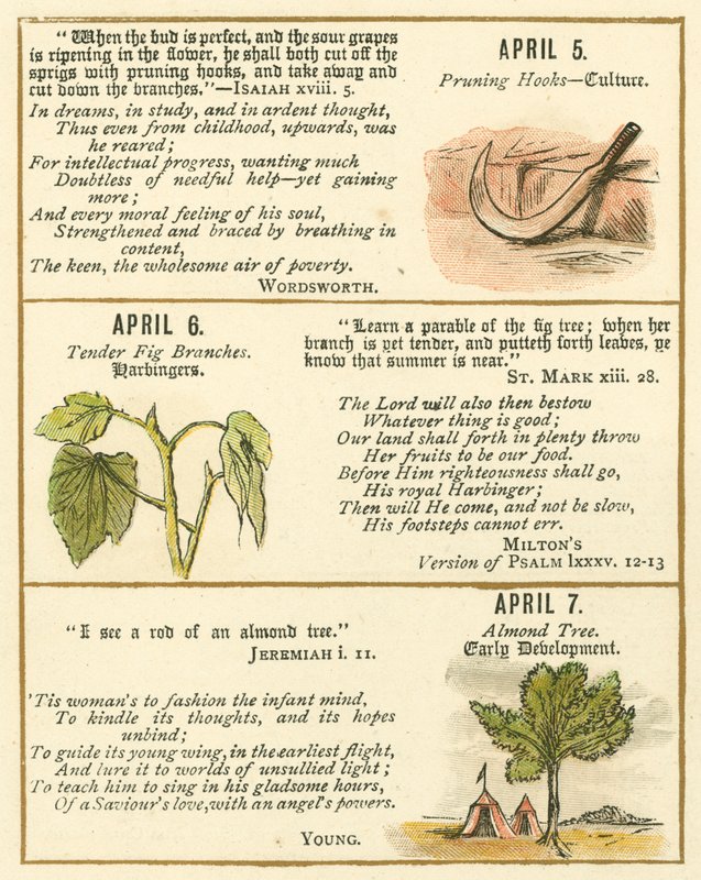 Page du Livre Anniversaire des Emblèmes de la Bible - William Foster