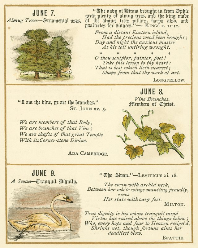 Page du Livre Anniversaire de l