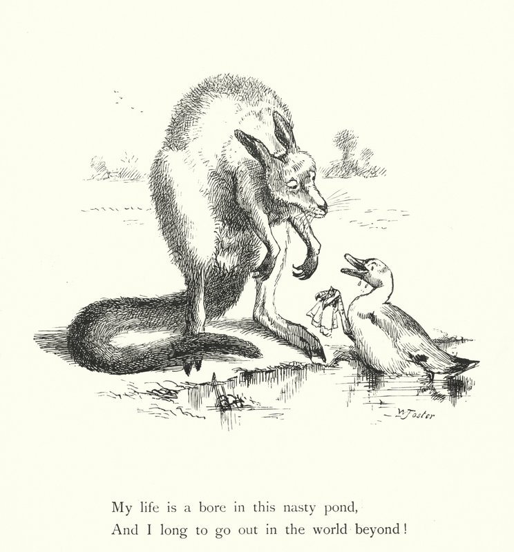 Le canard et le kangourou - William Foster