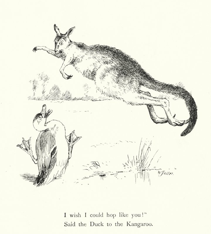 Le Canard et le Kangourou - William Foster