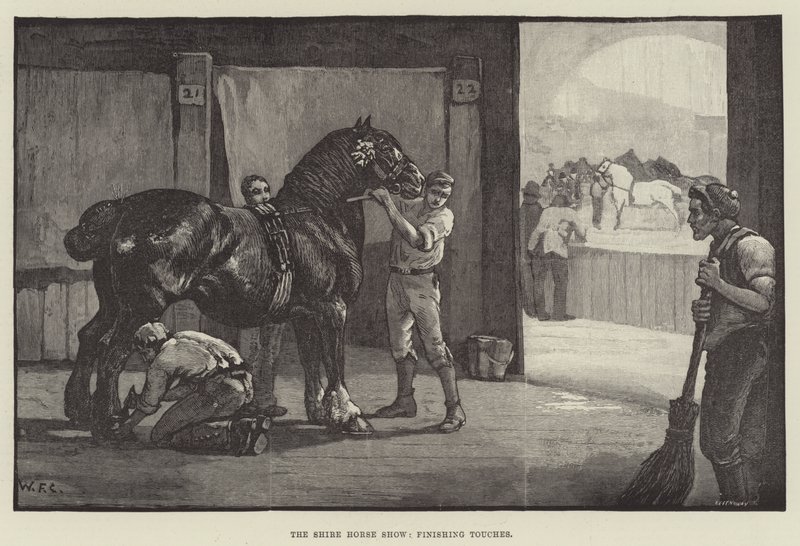 Le Salon du cheval de trait, dernières touches - William Frank Calderon