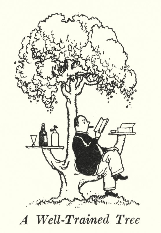 Un Arbre Bien Dressé - William Heath Robinson