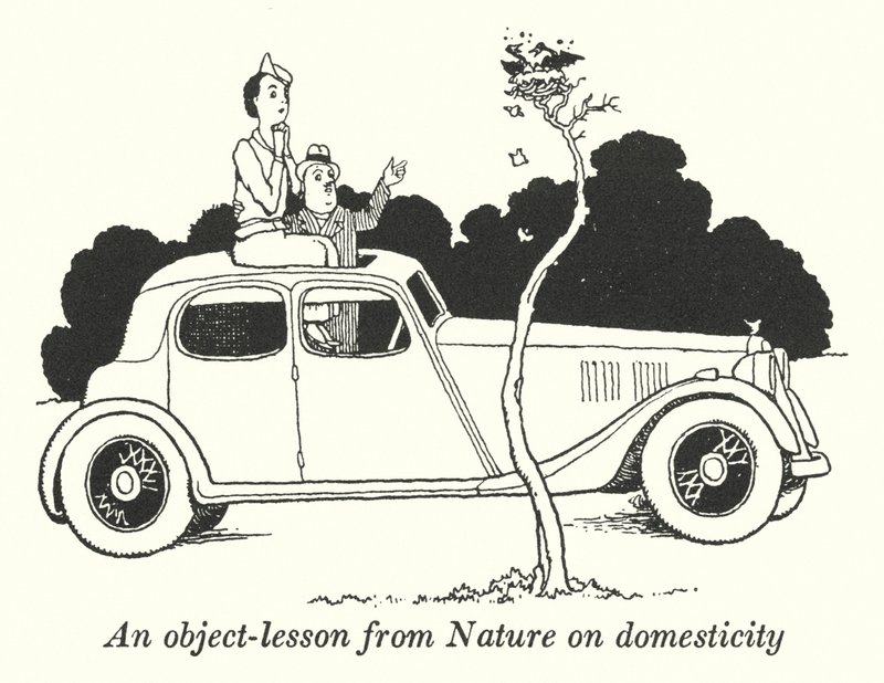 Une leçon de la nature sur la domesticité (lithographie) - William Heath Robinson